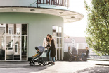 Thule Sleek + люлька Thule Bassin 11000010