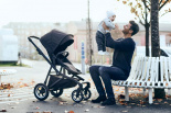 Thule Sleek + люлька Thule Bassin 11000010